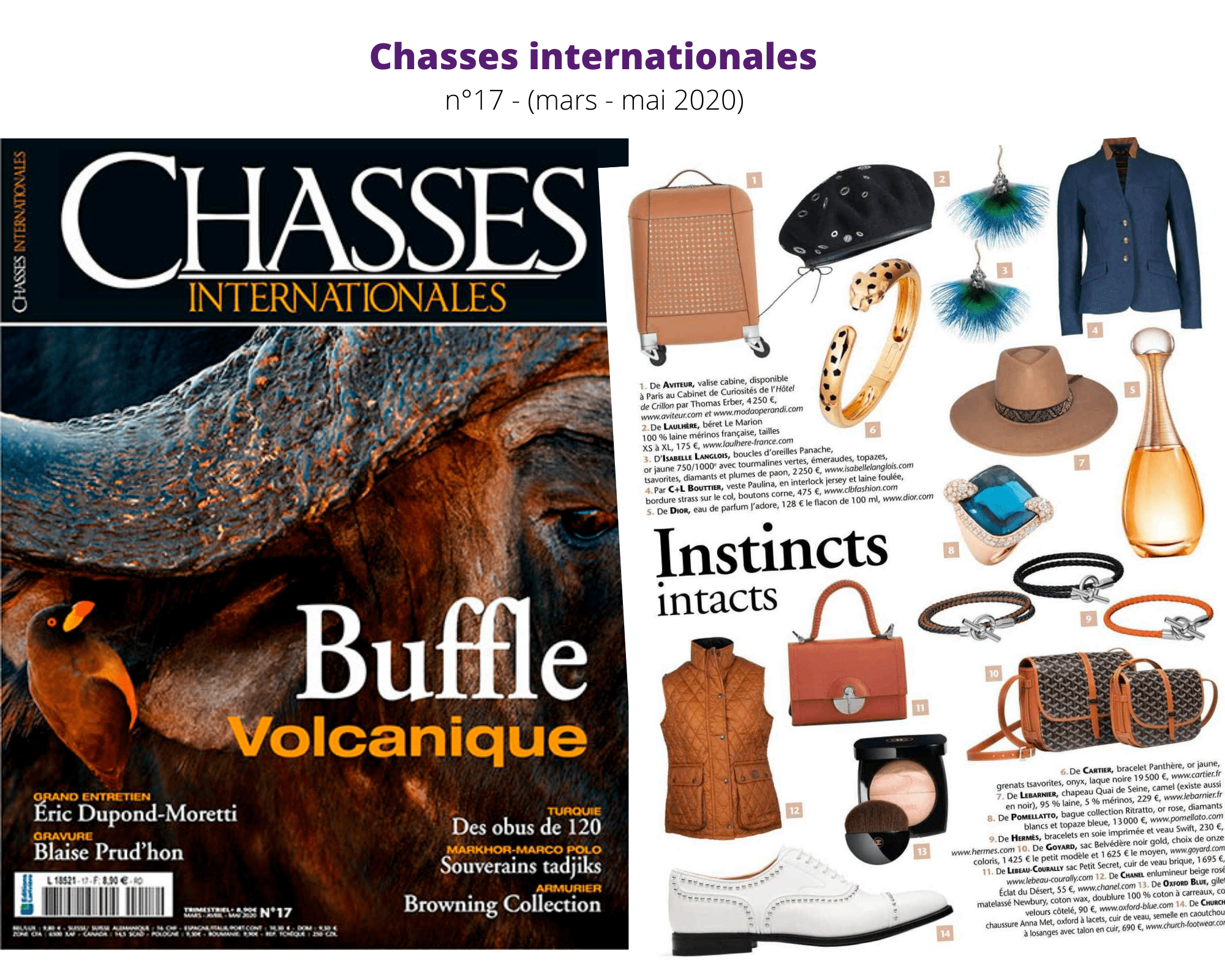 CHASSES INTERNATIONALES (MARS-MAI)